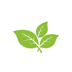 Fototapeta premium nature green leaf element vector icon. green leaves vector symbol