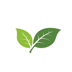 nature green leaf element vector icon. green leaves vector symbol