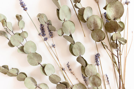 Bouquet Of Lavender Flowers And Eucalyptus