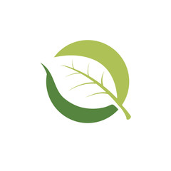 nature green leaf element vector icon. green leaves vector symbol