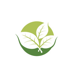 nature green leaf element vector icon. green leaves vector symbol
