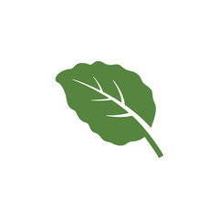 mint leaf element vector icon. green mint leaves vector symbol