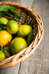 Sweet juicy mandarines in vintage basket. Selective focus. Shallow depth of field.