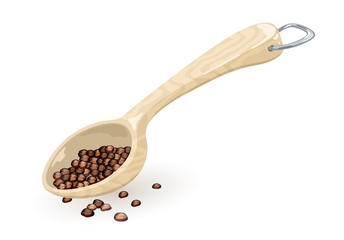 Black pepper corns or peppercorn are in measuring wooden or plastic spoon, scoop. Coffee beans spill out from ladle, bailer with metallic d-ring hung. Vector cartoon illustration isolated on white.