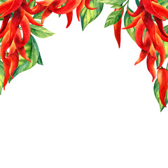 Naklejka premium Watercolor painting of peppers frame on white background
