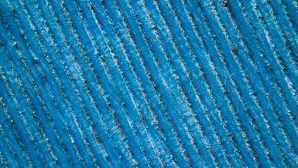 aerial view, vineyard in winter