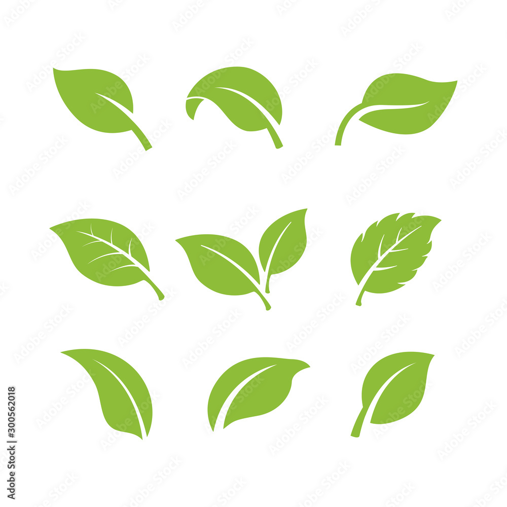 Wall mural set of green leaves element vector icon. green leaf vector symbol illustration