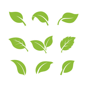 set of green leaves element vector icon. green leaf vector symbol illustration