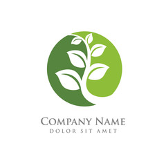 nature green leaf element vector icon. green leaves vector symbol