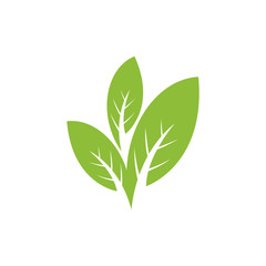 nature green leaf element vector icon. green leaves vector symbol