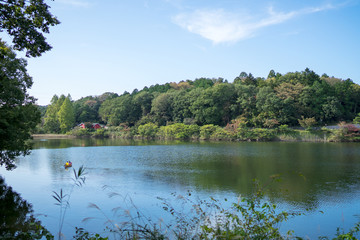 宮沢湖と赤い小屋1