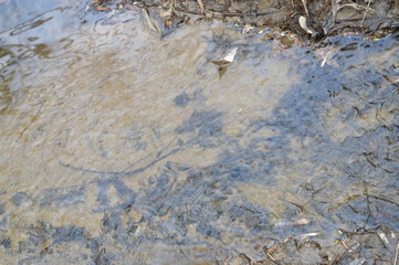stream. sand.