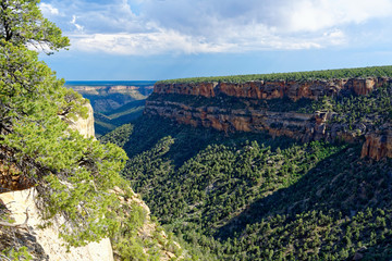 Fototapeta na wymiar Soda Canyon in Mesa Verde National Park