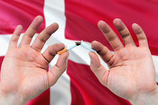 Denmark quit smoking cigarettes concept. Adult man hands breaking cigarette. National health theme and country flag background.