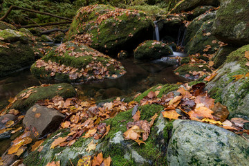 秋田県　元滝伏流水