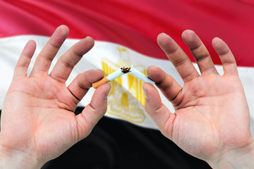 Egypt quit smoking cigarettes concept. Adult man hands breaking cigarette. National health theme and country flag background.