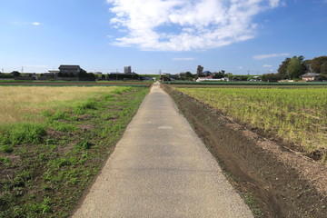 Fototapeta na wymiar 秋の農道風景