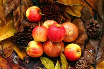 Naklejka na ściany i meble Apple on autumn leaves background, red tomato, onion, pinecone, colorful fruit or vegetable harvesting in fall season, fresh and organic food from nature, copy space