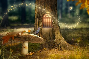  Betoverd sprookjesbos met magisch glanzend raam in holle boom, grote paddenstoel met vogel en vliegende magische vlinder die pad verlaten met lichtgevende schitteringen © julia_arda
