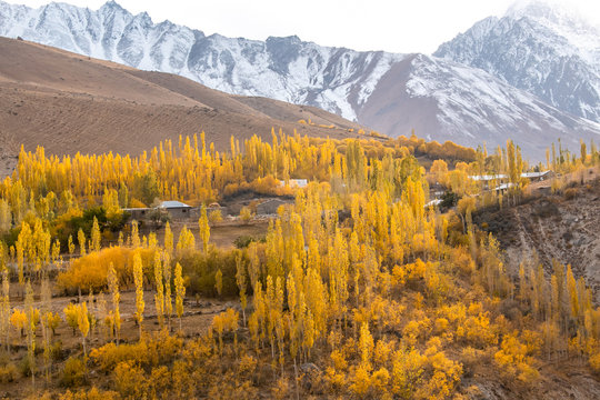 Phandar valley during autumn season in the northern area of the Pakistan