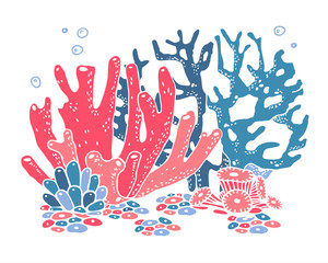 Obraz premium Group of colorful corals. Color vector hand drawn illustration