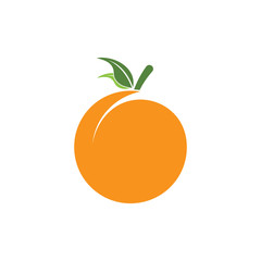 Orange logo design. Vector