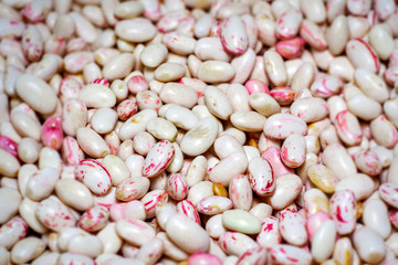 Pinto beans, crimson beans variety of common bean (Phaseolus vulgaris) aka borlotti beans or cranberry beans legumes vegetables vegetarian food