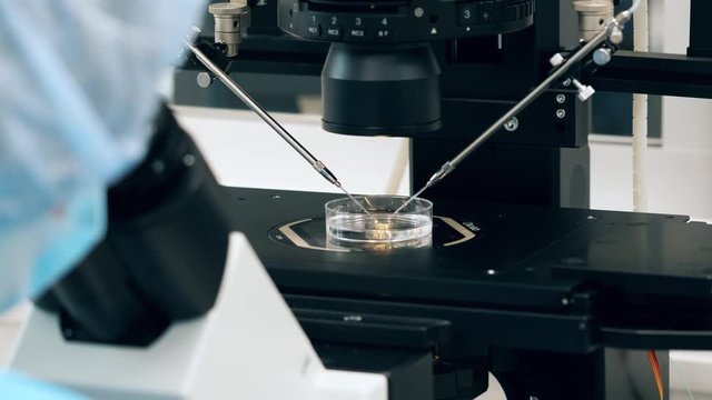 Microscope elements during analysis process