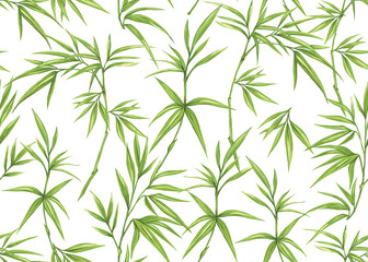 Naklejka na ściany i meble Seamless pattern, background with tropical plants, flowers. Colored vector illustration. Isolated on white background.