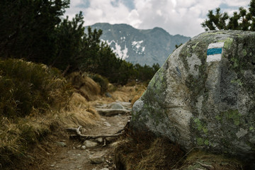 Obraz premium route in mountains