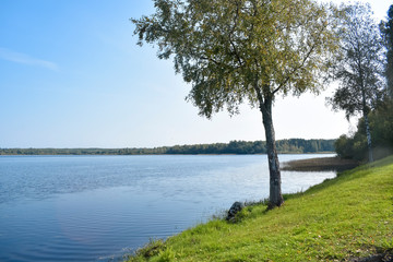 landscape with lake and trees
