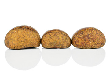 Group of three whole sweet brown chestnut in row isolated on white background