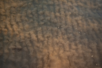 A sea wave moving the mud