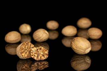 Group of eight whole one half one piece of dry brown nutmeg isolated on black glass