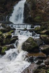 Obraz premium waterfall in the forest