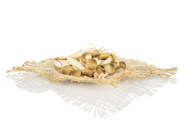 Lot of whole fresh brown buna shimeji mushroom on natural sackcloth isolated on white background