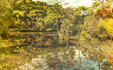 神戸・市立森林植物園　初秋の風景