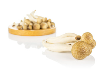 Lot of whole fresh brown buna shimeji mushroom four are in the front and the rest is on bamboo coaster isolated on white background