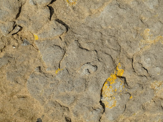 Abstract stone texture background, Warm tones.