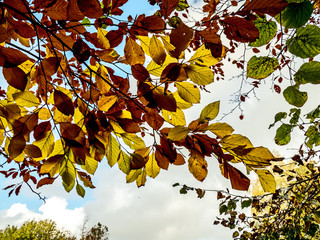 OLYMPUS DIGITAL CAMERA - PARK WIDE