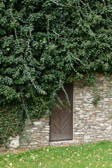 vintage wooden door in stone wall under shrub