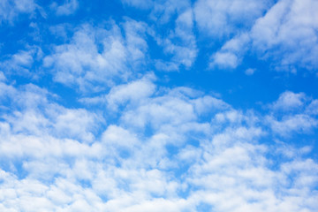 blue sky and cloud