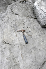 Archaeologists are using tools and equipment to explore fossils found in sedimentary rocks