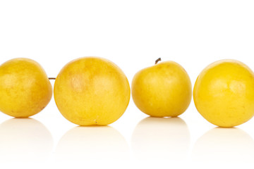 Group of four whole fresh yellow plum isolated on white background
