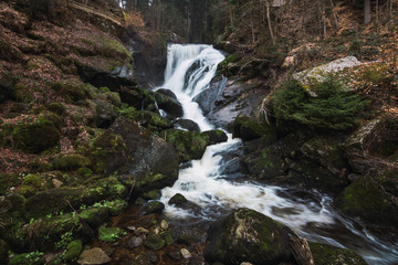 waterfall in forest