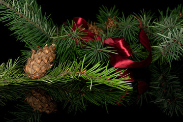 Lot of whole christmas green branch spruce with red ribbon isolated on black glass