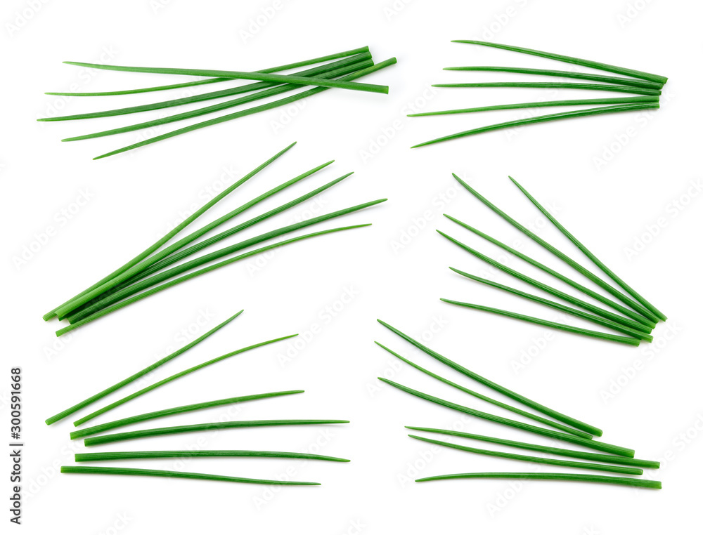 Wall mural green onion isolated. cut chives. young green onion. top view.