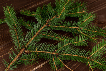 One whole christmas green branch spruce flatlay on brown wood