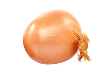 Onion bulbs isolated on a white background