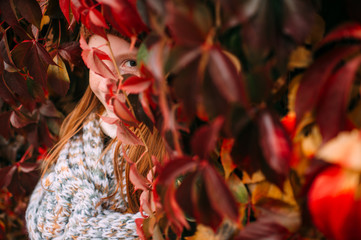 Positive little girl standing in ivy wall and looking though red leaves. Play hide and seek.